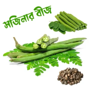 বারোমাসি সজিনা বীজ