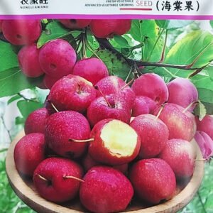 1 Packet Apple Seeds Price 490৳