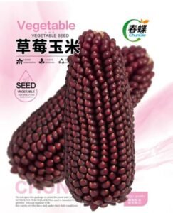 blue-corn-3.jpeg