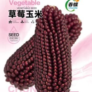 ১ পেকেট স্ট্রবেরি ভুট্টা বীজ Seed Price 399